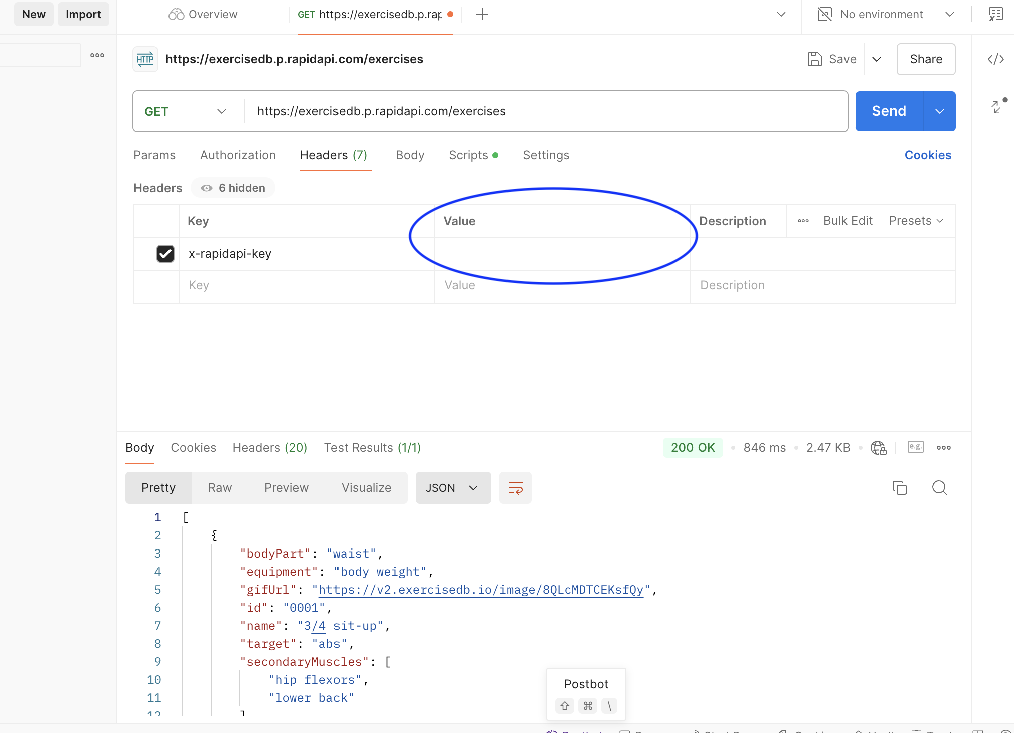 Exercise API execution in Postman